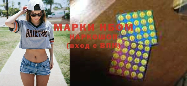 хмурый Пересвет