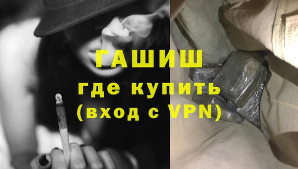хмурый Пересвет