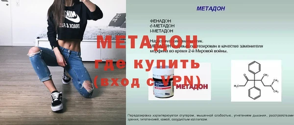 хмурый Пересвет