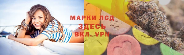 хмурый Пересвет