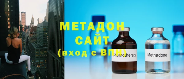 хмурый Пересвет