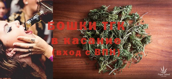 хмурый Пересвет