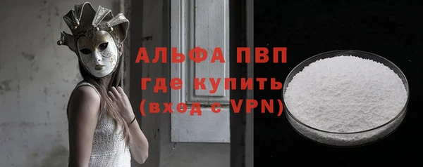 хмурый Пересвет