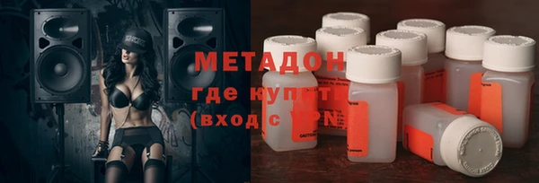 хмурый Пересвет