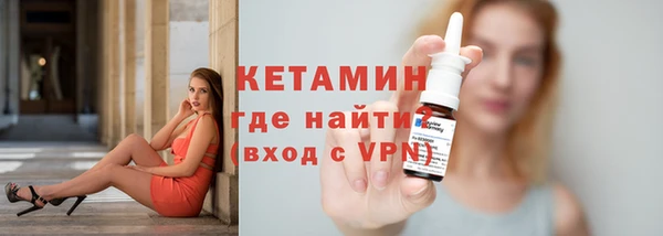 хмурый Пересвет
