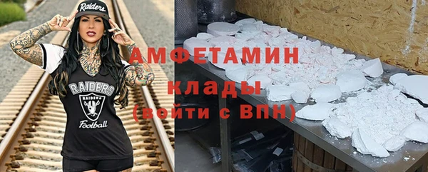 хмурый Пересвет