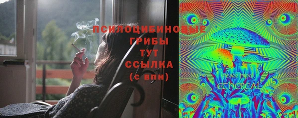 хмурый Пересвет