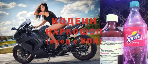 хмурый Пересвет