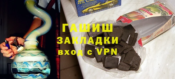 хмурый Пересвет