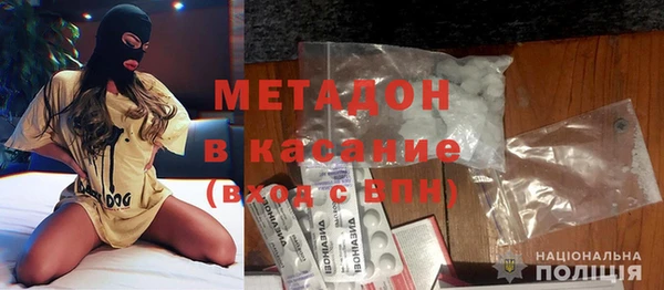 хмурый Пересвет