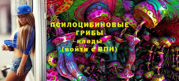 хмурый Пересвет