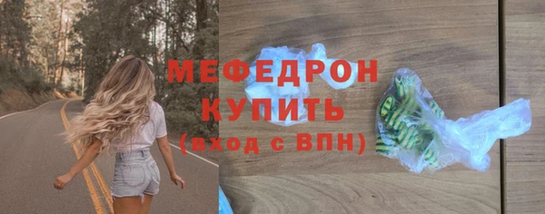 хмурый Пересвет