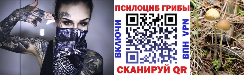 блэк спрут ССЫЛКА  Чкаловск  Галлюциногенные грибы мицелий 